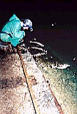 Tarquin in Powel's Lode, Milwr Mine, Halkin Mine Complex. Flash and camera by Ian Wilton-Jones, setup by Tarquin and Ian Wilton-Jones.