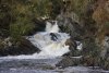 Ciloerwynt Lower Falls