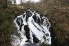 Swallow Falls/Rhaeadr Ewynnol