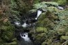 Torrent Walk/Llwybr-y-Torrent