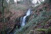 Cleddon Falls/Rhaeadr Caledan